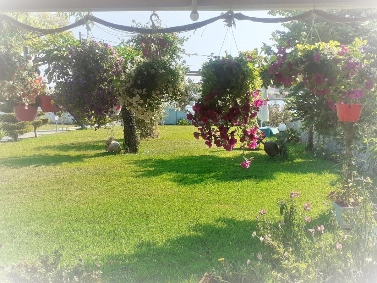Top Floor On Villa, 3' From Center, By The Sea! Host Is Efi Kwsta Πρέβεζα Εξωτερικό φωτογραφία
